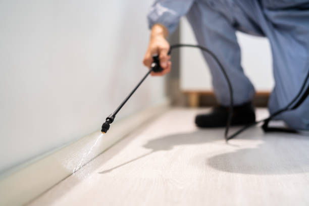 Licensed Mosquito Control service in Jackson, WY - Show Me Pest Control