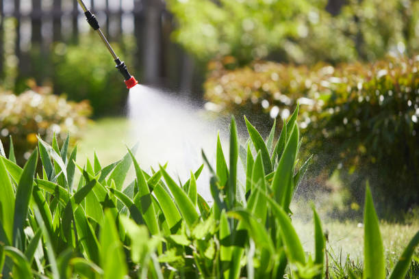 24/7 Emergency Mosquito Control experts in Jackson, WY
