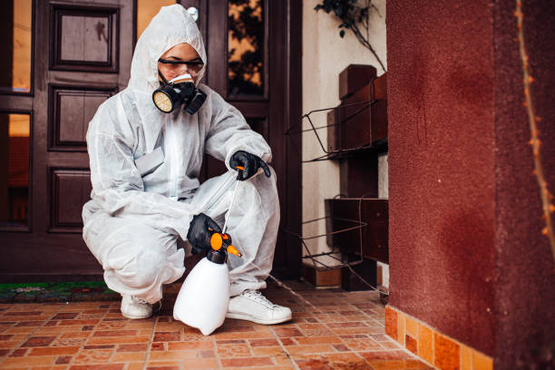 Reliable Mosquito Control contractor in Jackson, WY by Show Me Pest Control